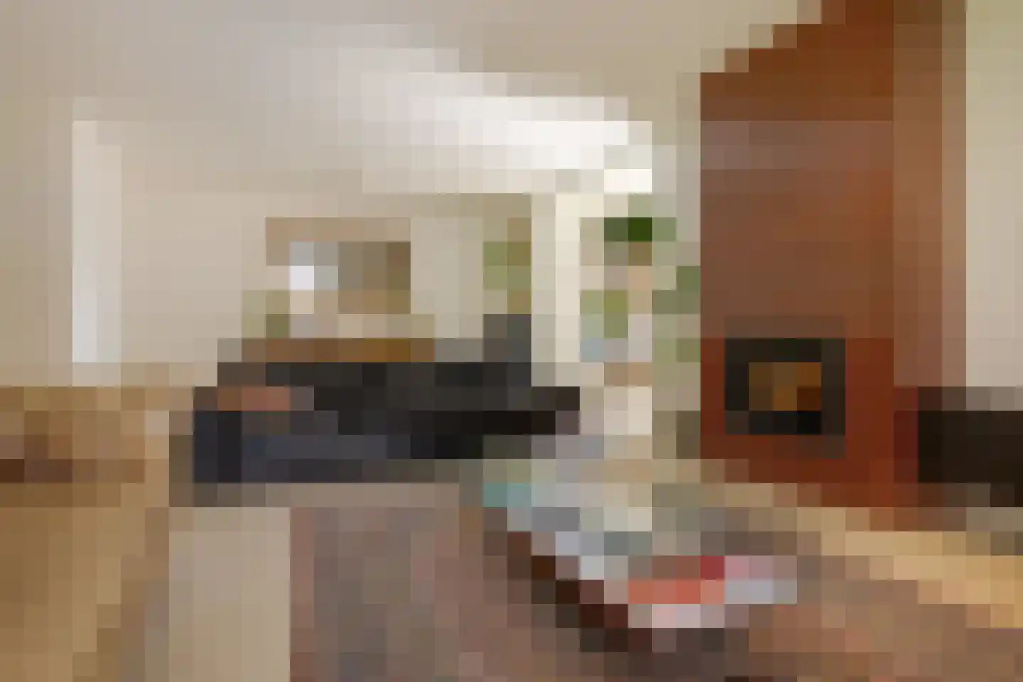 Boomkensdiep 41 Zwolle thumbnail 15