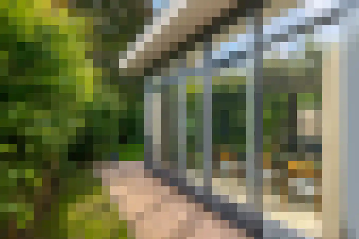 Boomkensdiep 41 Zwolle thumbnail 37