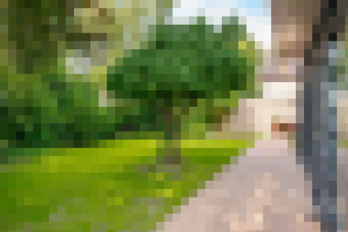 Boomkensdiep 41 Zwolle thumbnail 38
