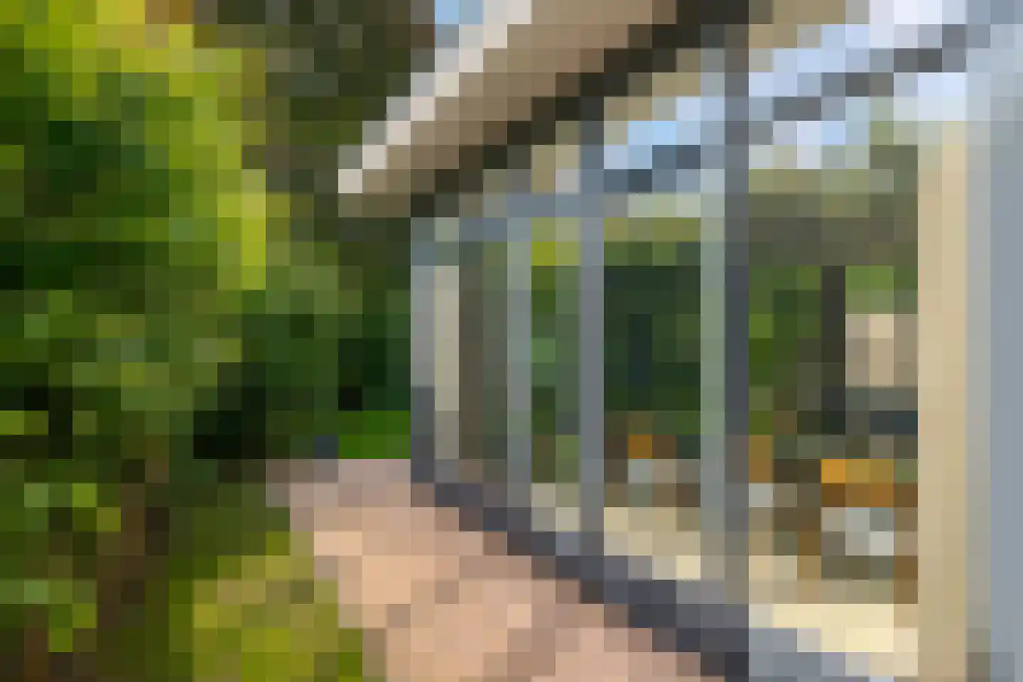 Boomkensdiep 41 Zwolle thumbnail 38