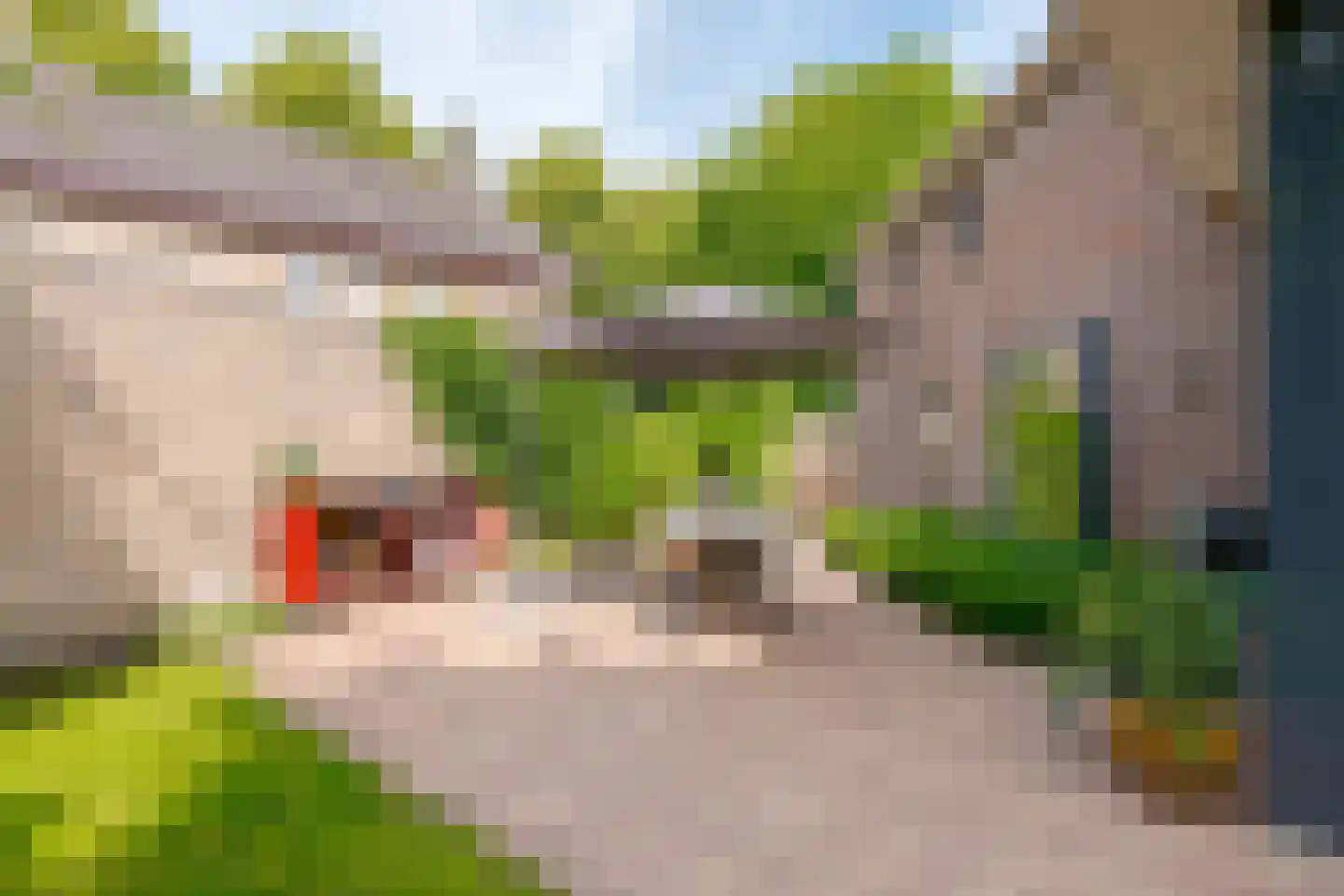 Boomkensdiep 41 Zwolle thumbnail 44