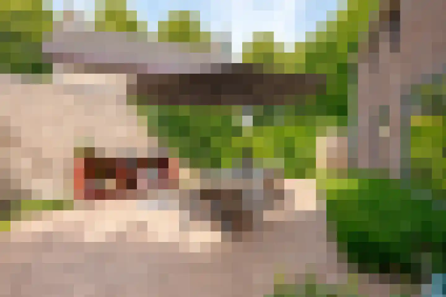 Boomkensdiep 41 Zwolle thumbnail 45