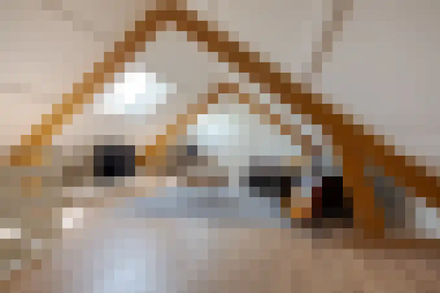 Boomkensdiep 41 Zwolle thumbnail 63