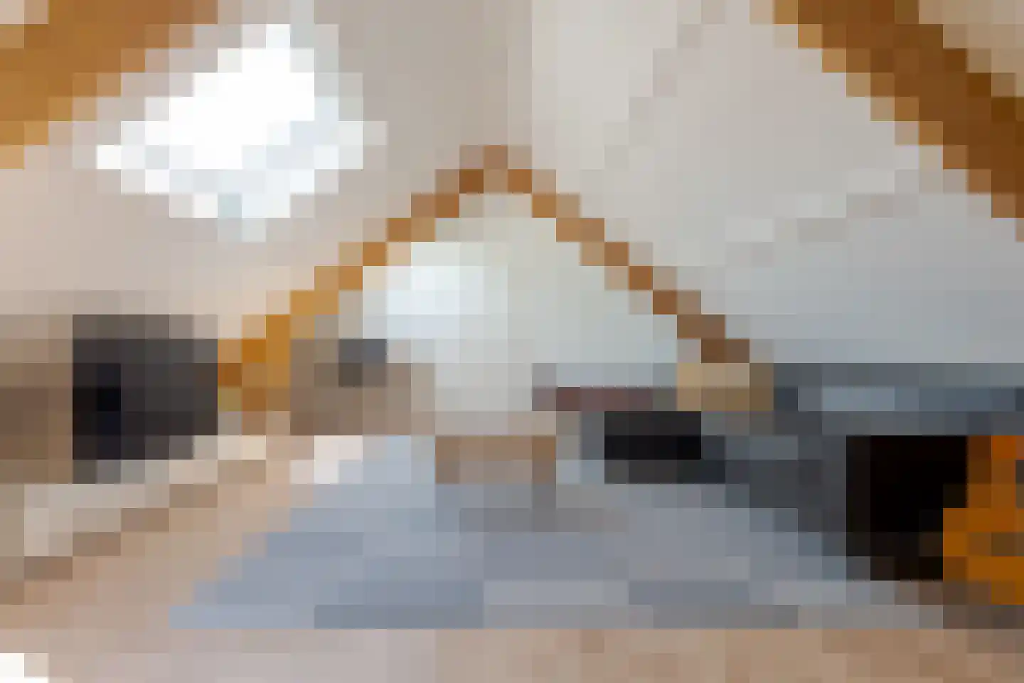 Boomkensdiep 41 Zwolle thumbnail 64