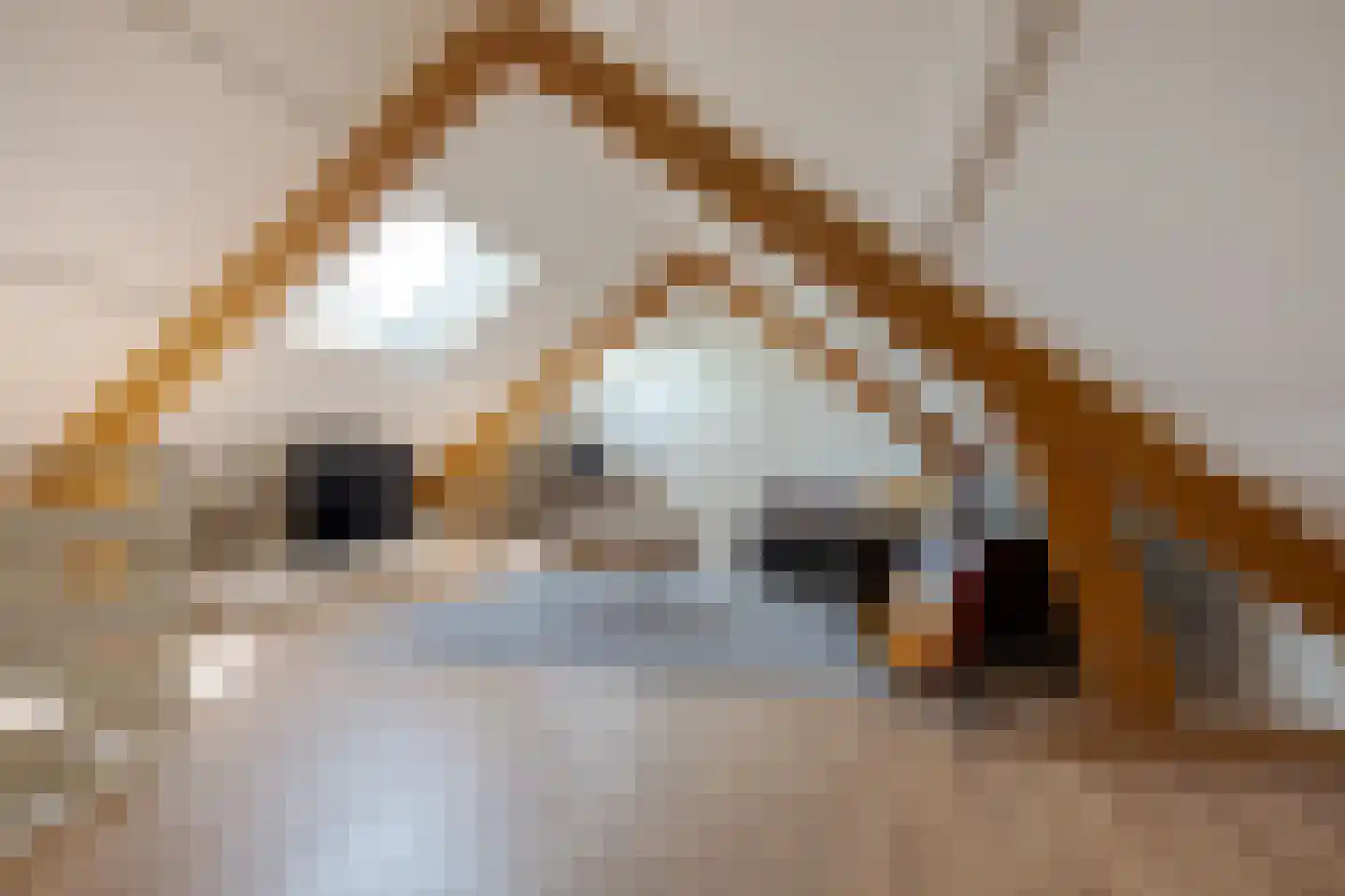 Boomkensdiep 41 Zwolle thumbnail 64