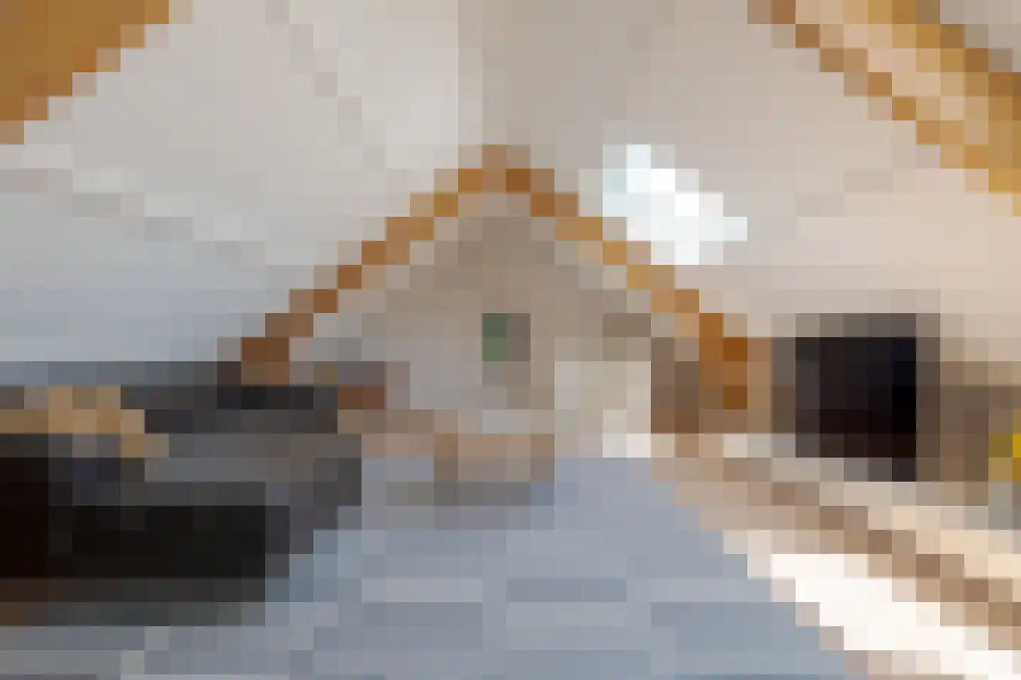 Boomkensdiep 41 Zwolle thumbnail 65