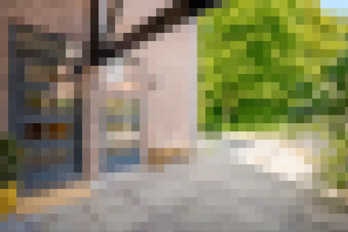 Boomkensdiep 41 Zwolle thumbnail 67