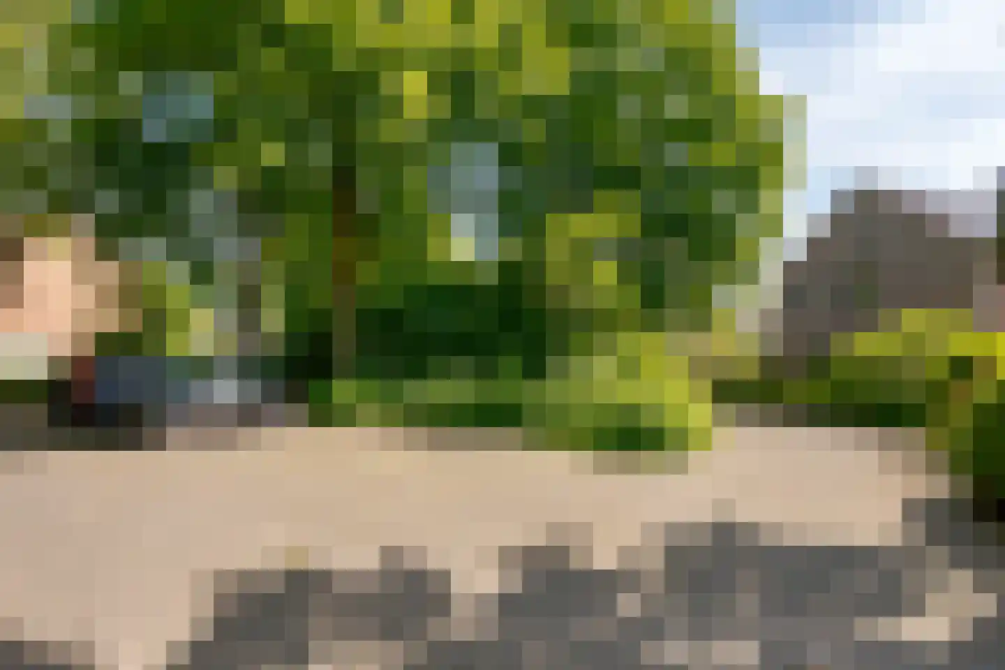 Boomkensdiep 41 Zwolle thumbnail 75
