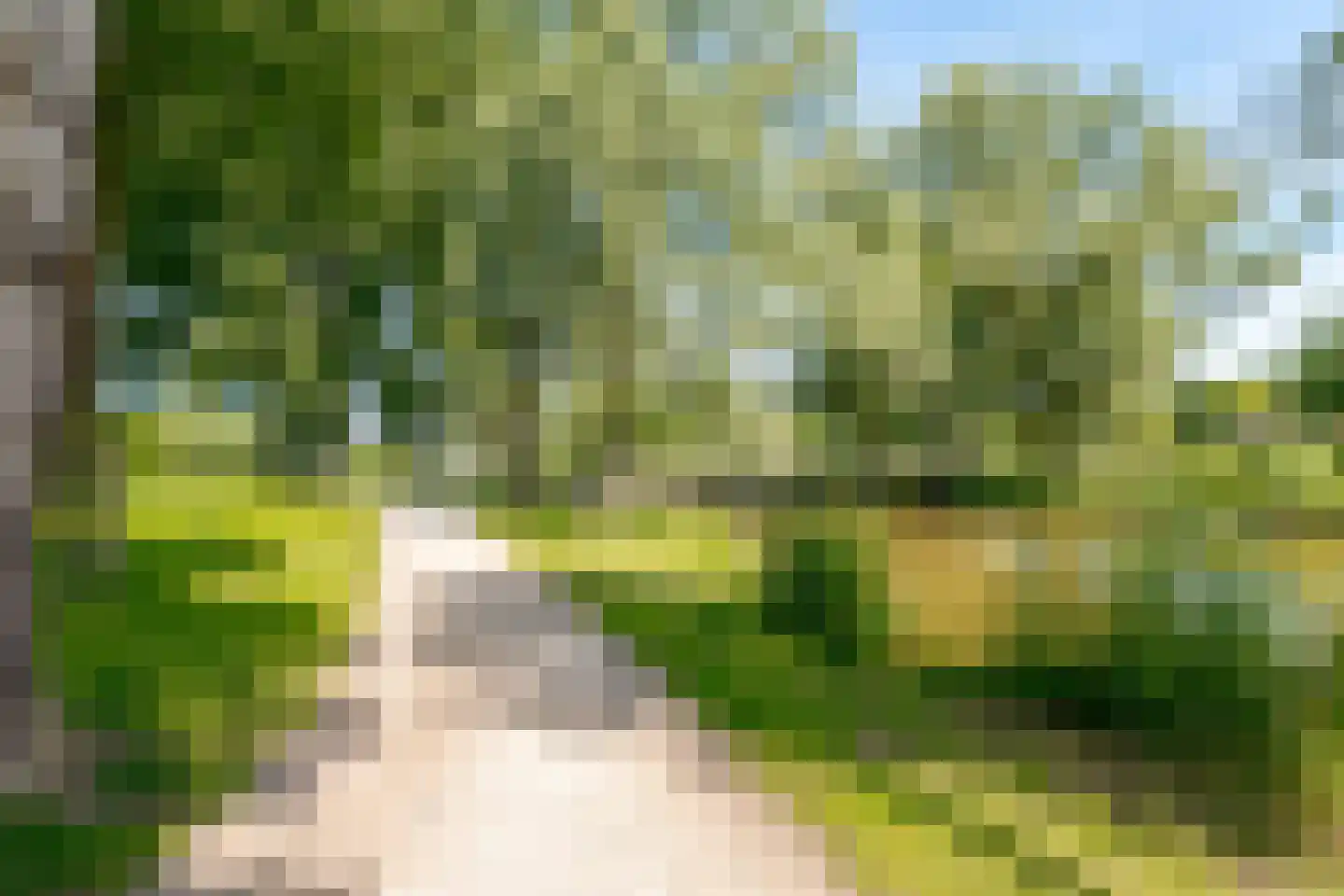 Boomkensdiep 41 Zwolle thumbnail 76