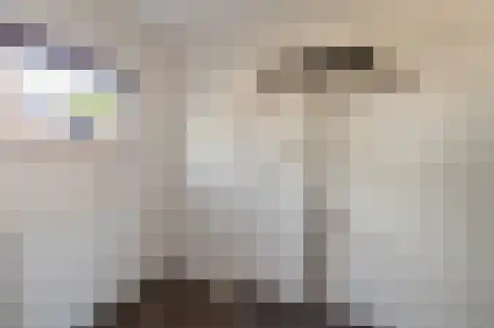Boomkensdiep 7 Emmeloord thumbnail 10