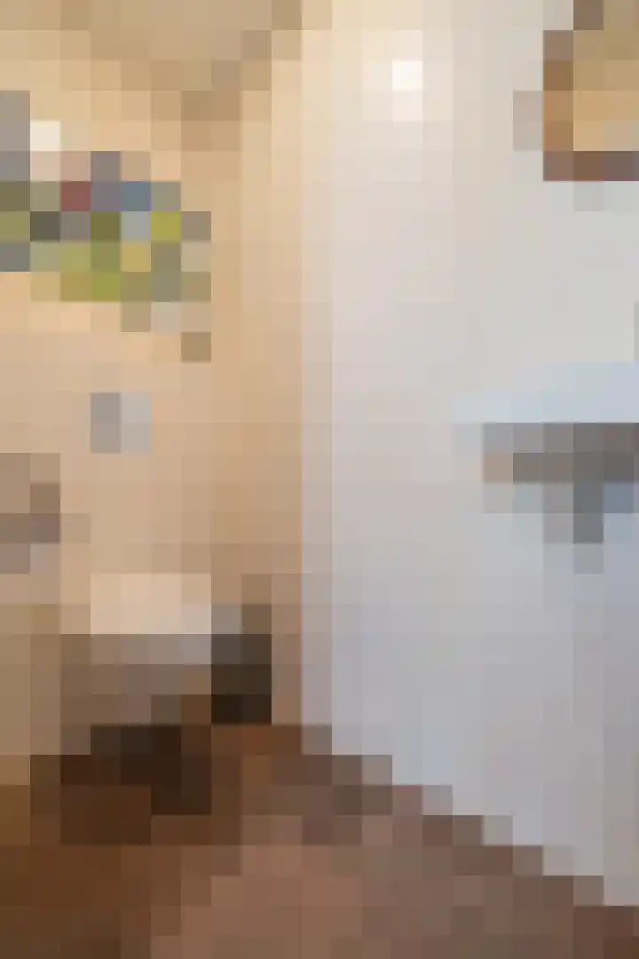 Boomkensdiep 7 Emmeloord thumbnail 12