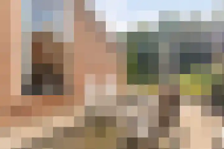 Boomkensdiep 7 Emmeloord thumbnail 21
