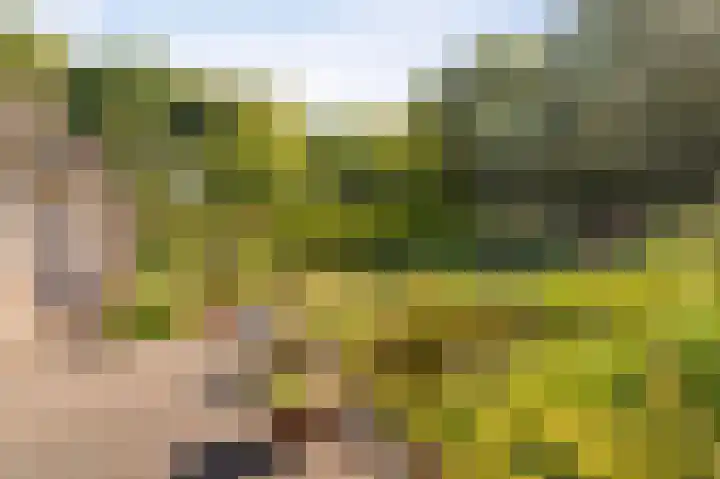 Boomkensdiep 7 Emmeloord thumbnail 22
