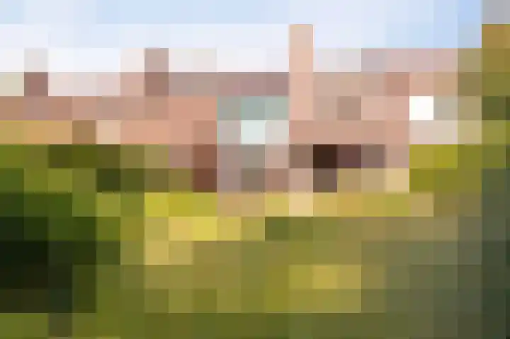 Boomkensdiep 7 Emmeloord thumbnail 23