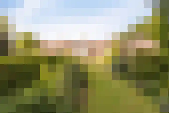 Boomkensdiep 7 Emmeloord thumbnail 24