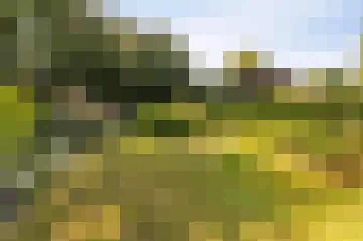 Boomkensdiep 7 Emmeloord thumbnail 25