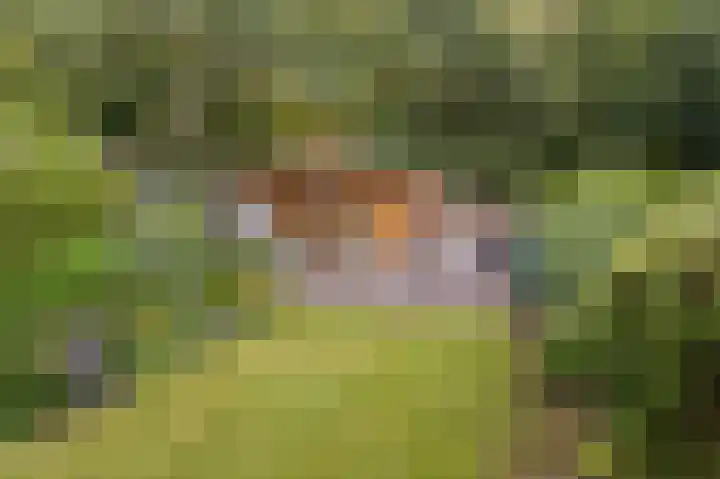 Boomkensdiep 7 Emmeloord thumbnail 26