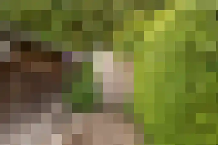 Boomkensdiep 7 Emmeloord thumbnail 29