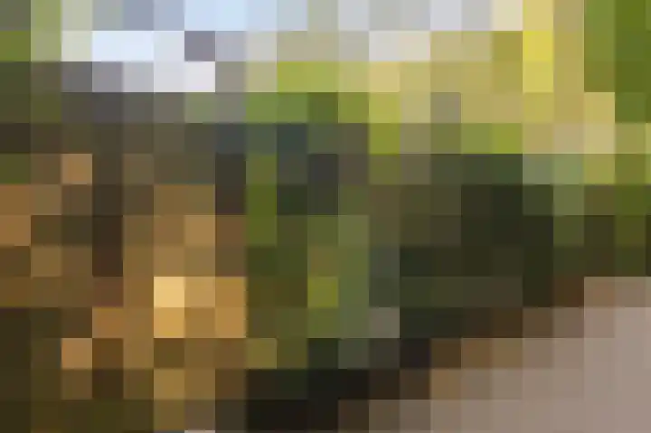 Boomkensdiep 7 Emmeloord thumbnail 30