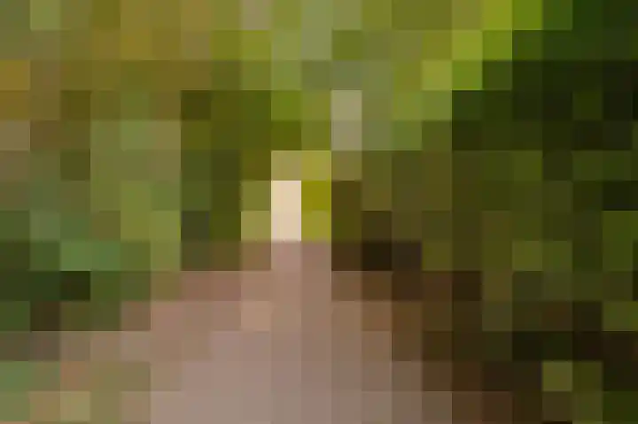 Boomkensdiep 7 Emmeloord thumbnail 31