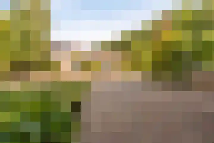 Boomkensdiep 7 Emmeloord thumbnail 7