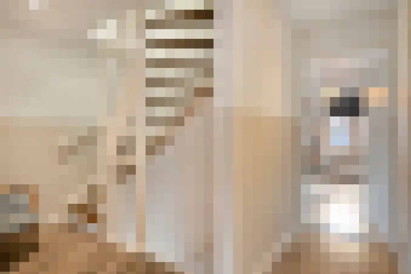 Boomkensstraat 12 Eijsden thumbnail 18