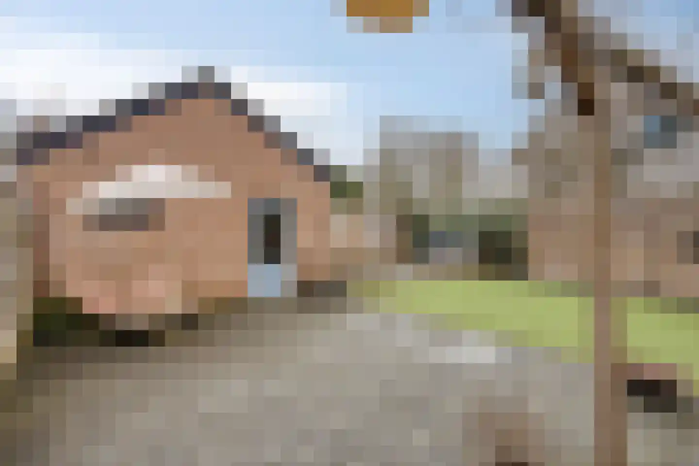 Boomkensstraat 12 Eijsden thumbnail 41