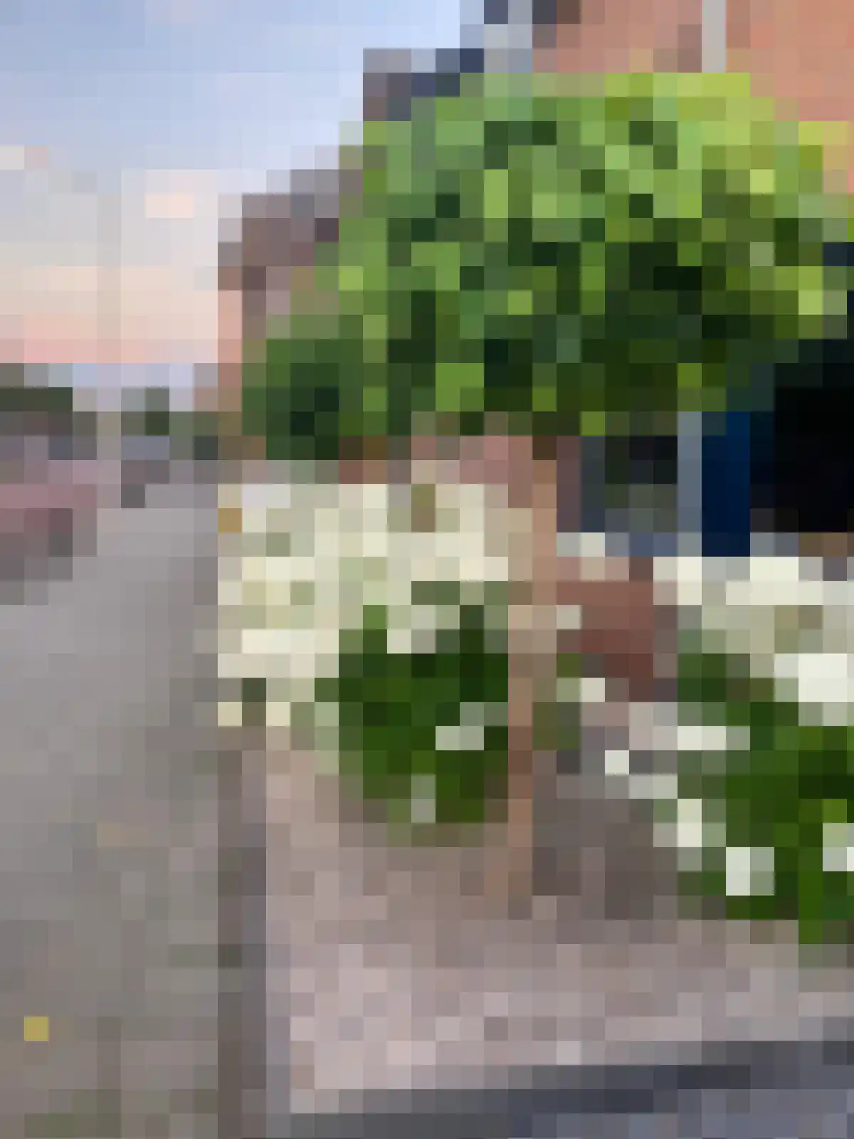 Boomkensstraat 12 Eijsden thumbnail 45