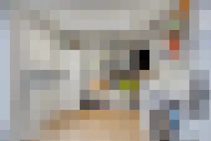 Boomkensstraat 65 Eijsden thumbnail 11