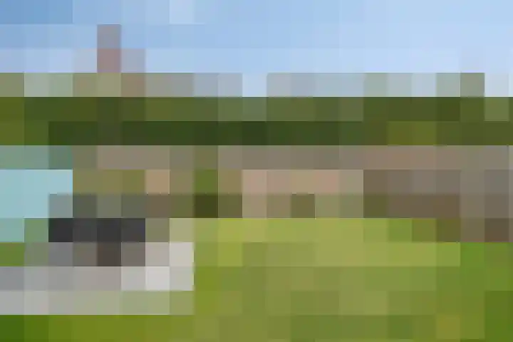 Boomkensstraat 65 Eijsden thumbnail 25