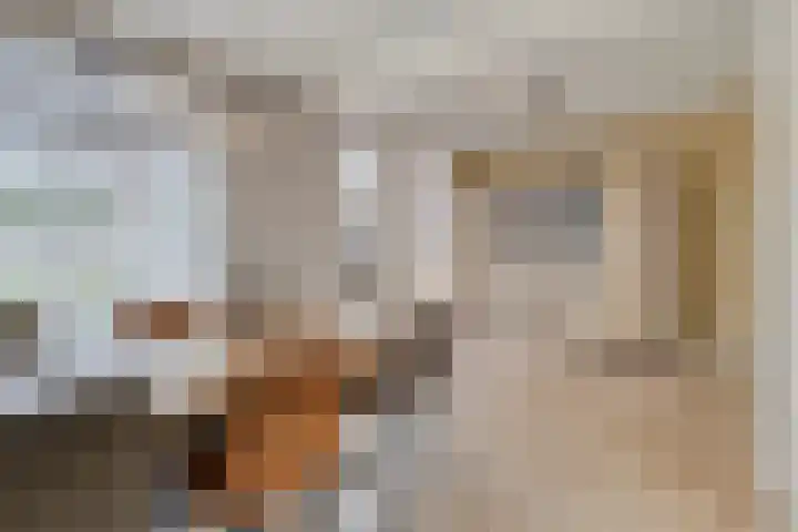 Boomkensstraat 65 Eijsden thumbnail 7