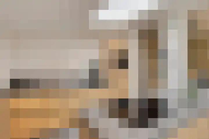 Boomkensstraat 65 Eijsden thumbnail 9