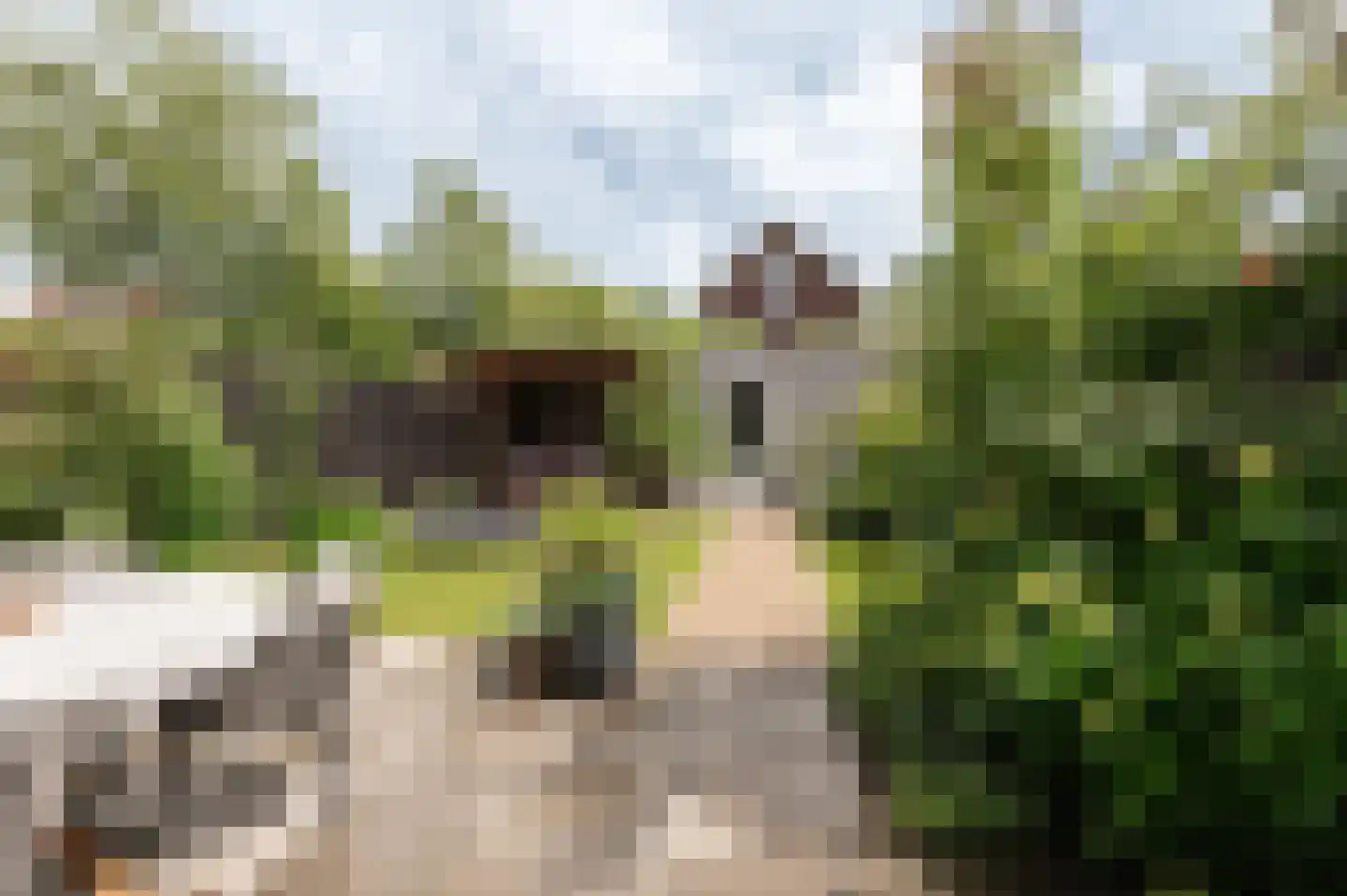 Boomkikkerlaan 23 Culemborg thumbnail 15