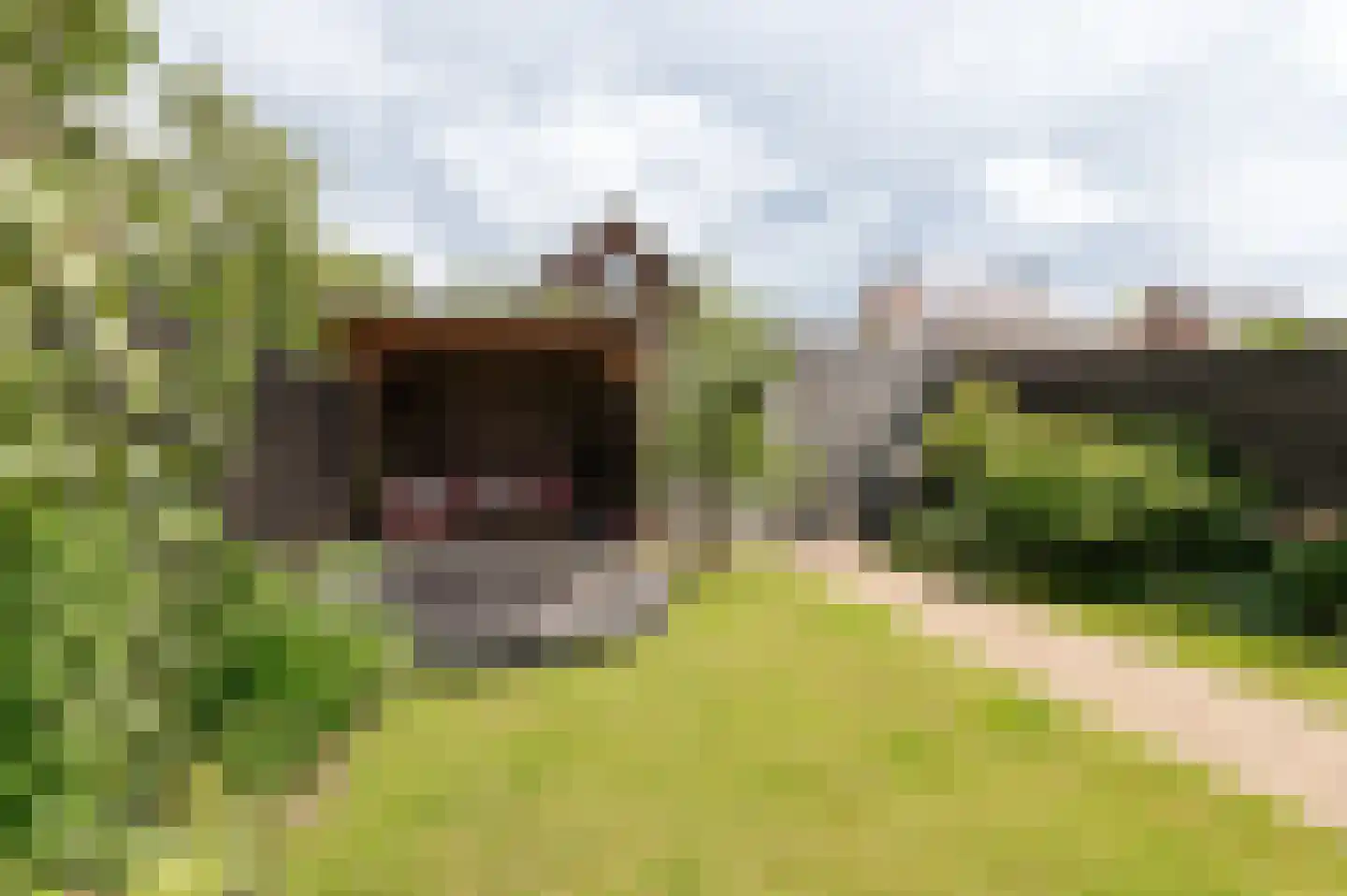 Boomkikkerlaan 23 Culemborg thumbnail 16