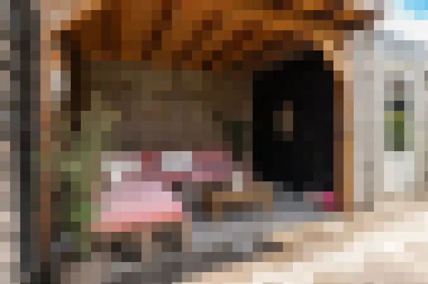 Boomkikkerlaan 23 Culemborg thumbnail 17