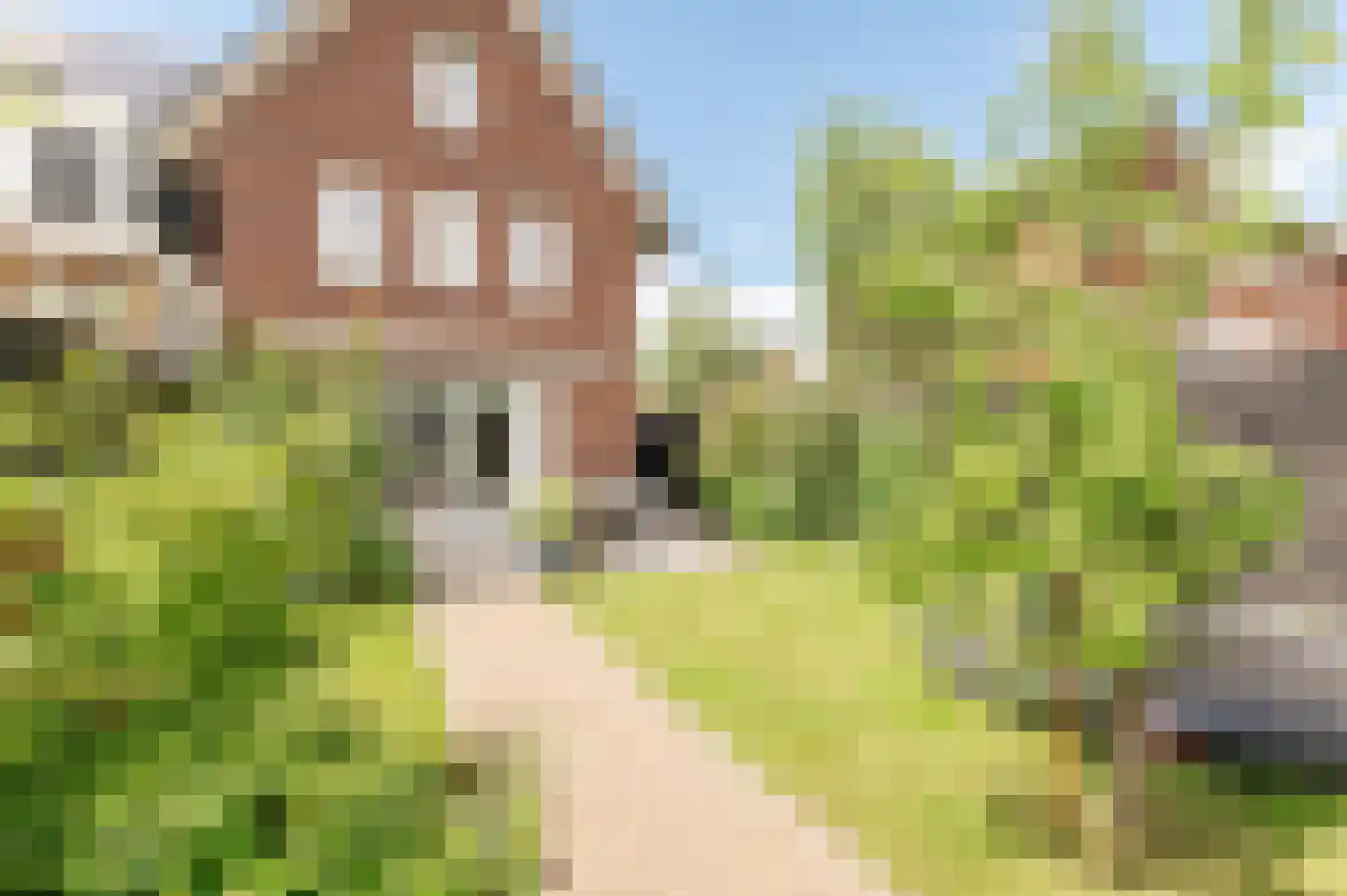 Boomkikkerlaan 23 Culemborg thumbnail 18