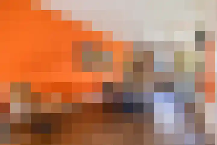 Boomklever 22 Rhenen thumbnail 11