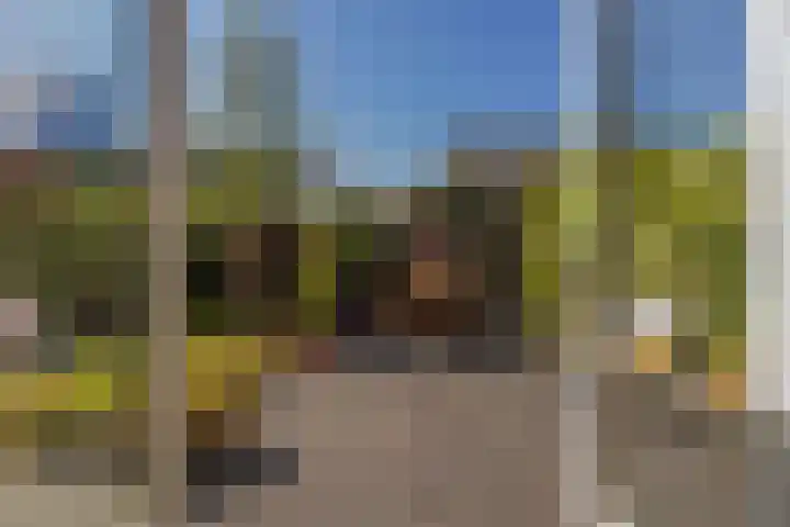 Boomklever 22 Rhenen thumbnail 35