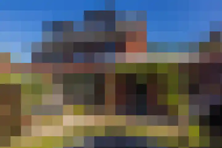 Boomklever 22 Rhenen thumbnail 37