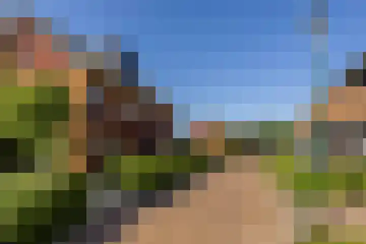 Boomklever 22 Rhenen thumbnail 38
