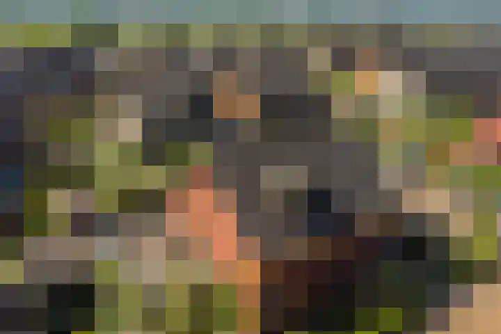 Boomklever 22 Rhenen thumbnail 39