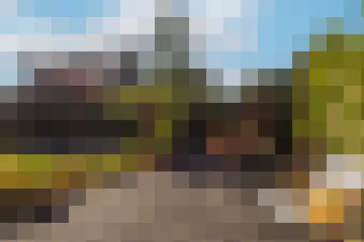 Boomklever 22 Rhenen thumbnail 4