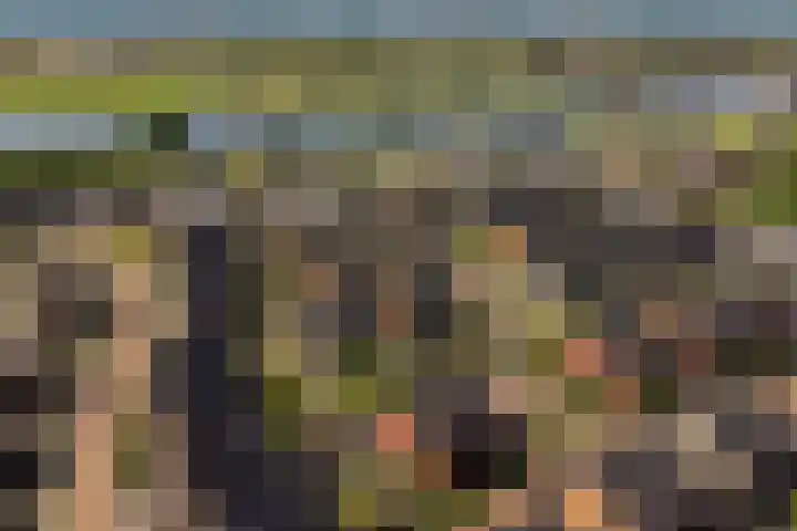 Boomklever 22 Rhenen thumbnail 40