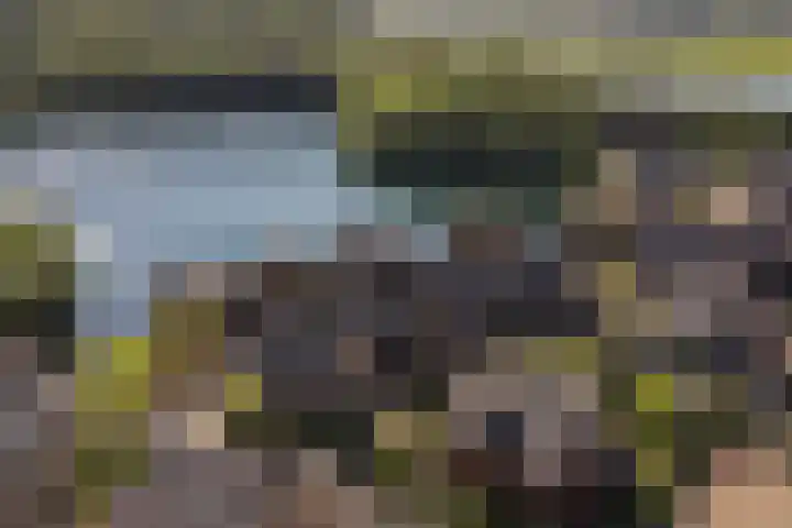 Boomklever 22 Rhenen thumbnail 41