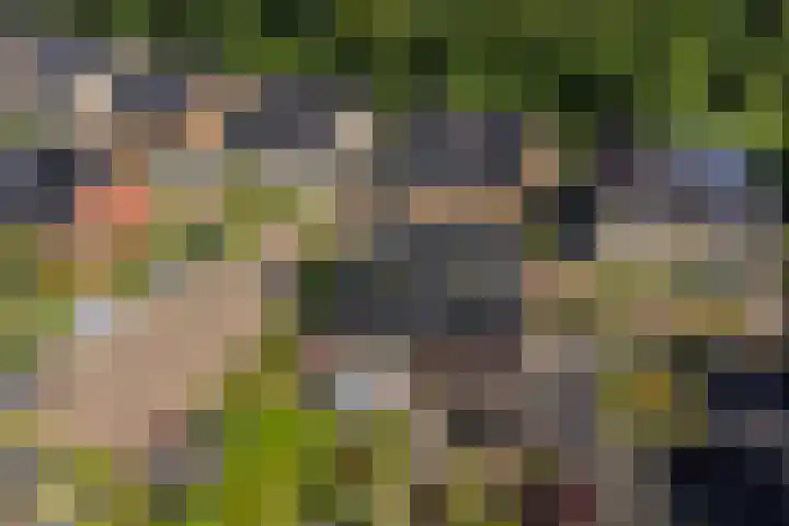 Boomklever 22 Rhenen thumbnail 43