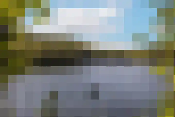 Boomklever 22 Rhenen thumbnail 45