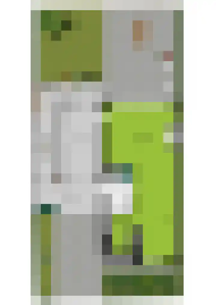 Boomklever 22 Rhenen thumbnail 49