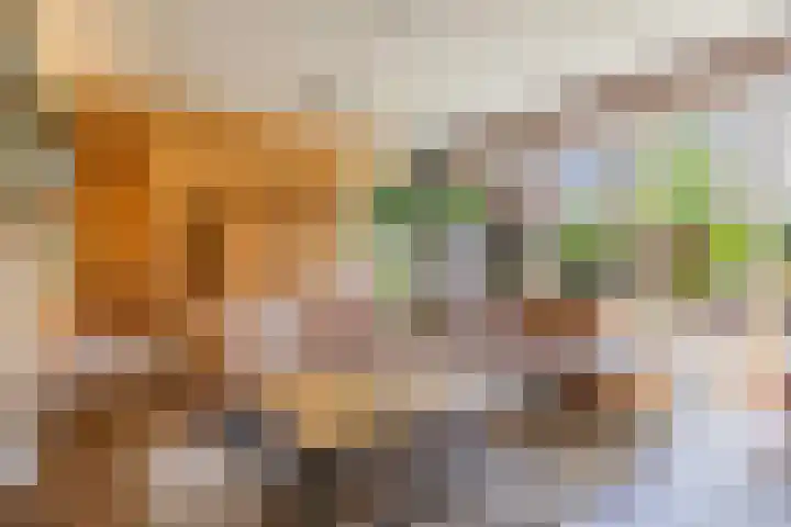 Boomklever 22 Rhenen thumbnail 7