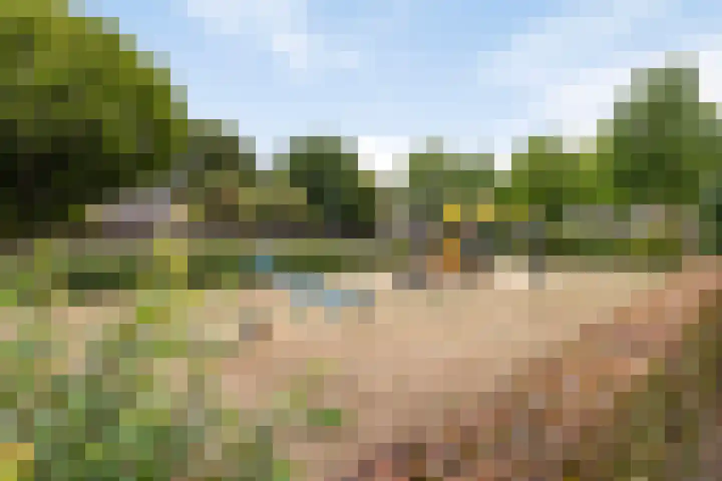 Boomklever 9 Boxmeer thumbnail 26