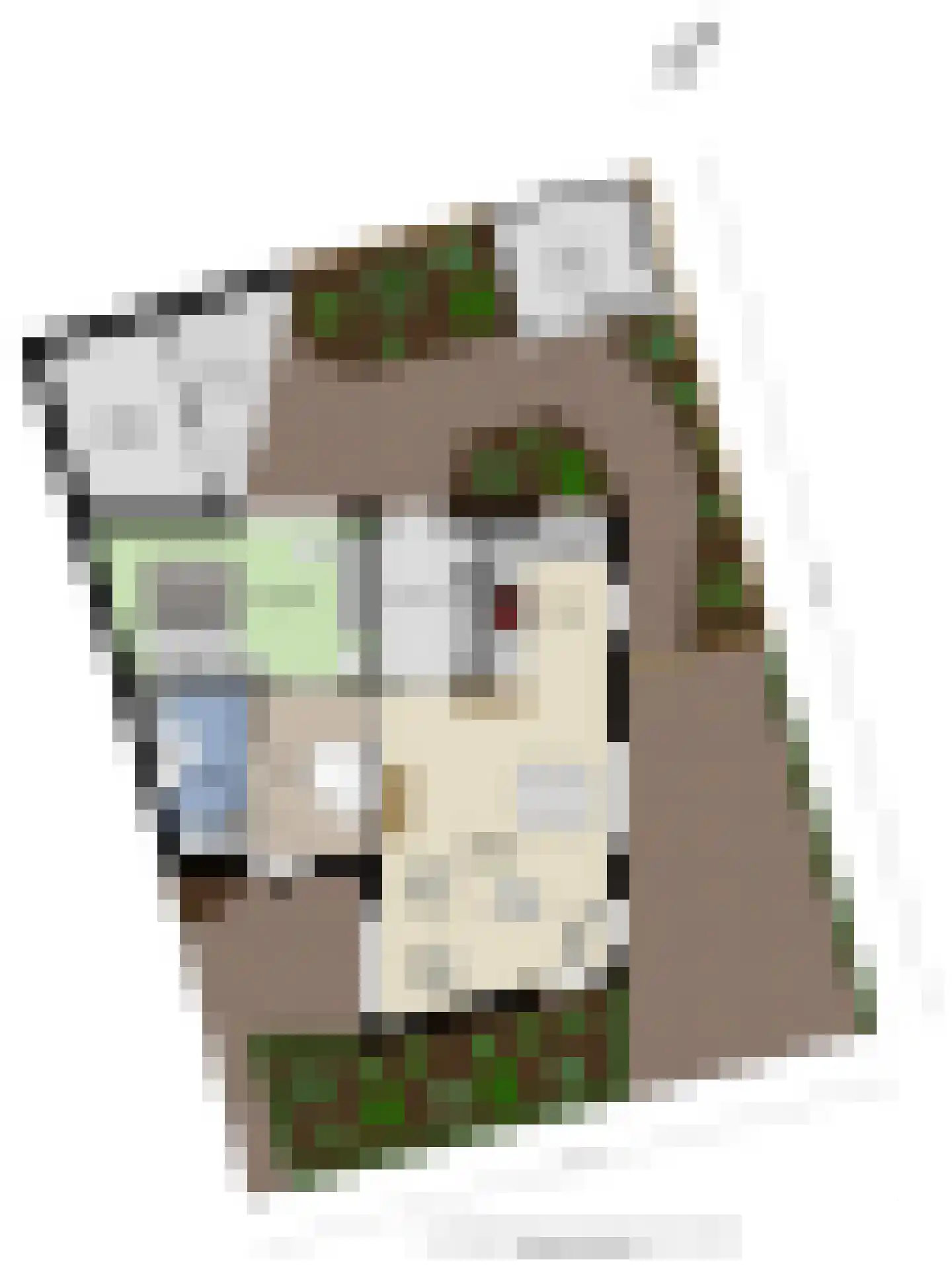 Boomklever 9 Boxmeer thumbnail 27